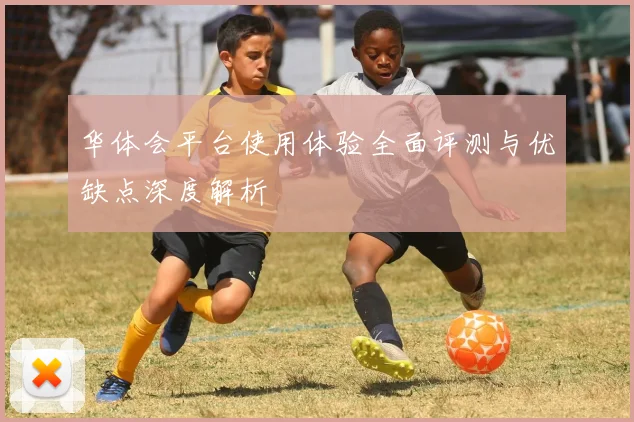 华体会平台使用体验全面评测与优缺点深度解析