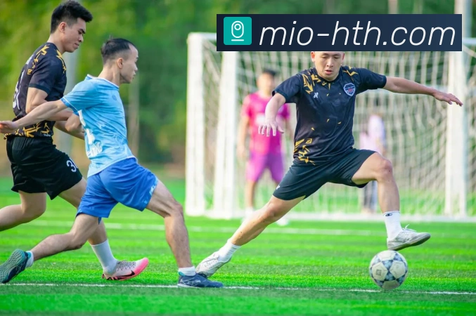 华体会客户端全新升级功能体验与赛事资讯一站式服务